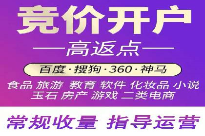 成功案例：sem竞价托管的智慧与策略